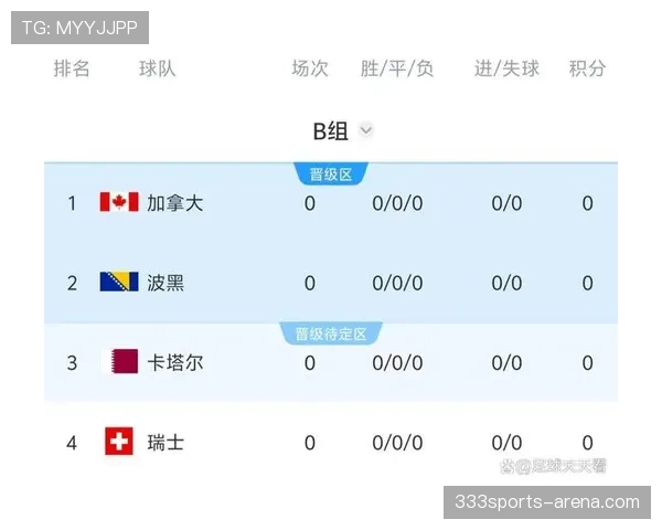 卡塔尔队能否从世界杯B组成功晋级